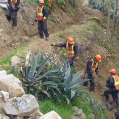 INERCO Perú Seguridad y Salud en el Trabajo