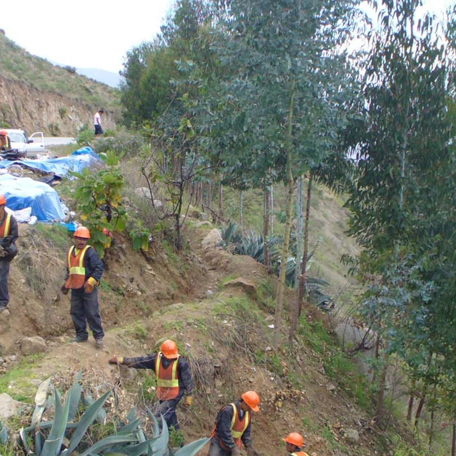 Medio Ambiente INERCO Perú Gestion de la Contaminación