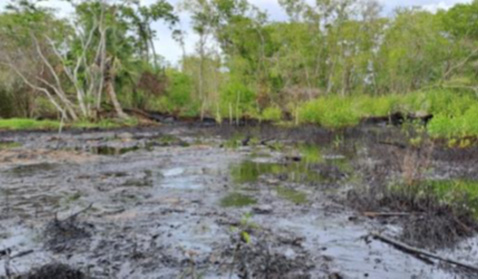 Evaluación preliminar de una zona impactada una contingencia